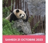 2023-Halloween Pairi Daiza