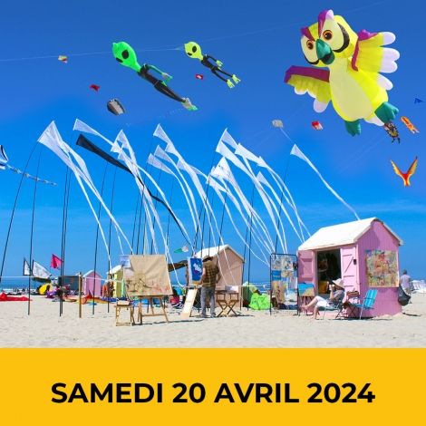 2024-Journée cerf volant