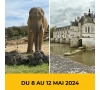 2024-Chinon & le zoo de Beauval