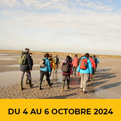 2024 - week end marche AMBLETEUSE