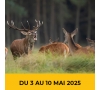 2025 - Séjour marche et visites en Sologne