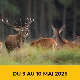 2025 - Séjour marche et visites en Sologne