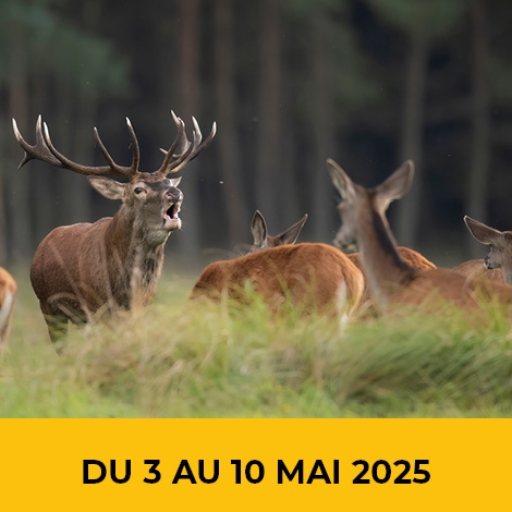 2025 - Séjour marche et visites en Sologne