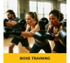 2025-Boxe training