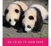 Zoo de Beauval